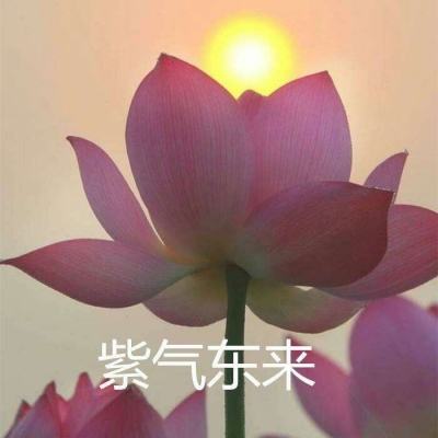 激逗战车手游官方版下载